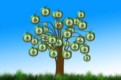 money-tree