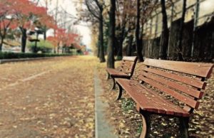 college campus in fall