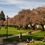 college campus
